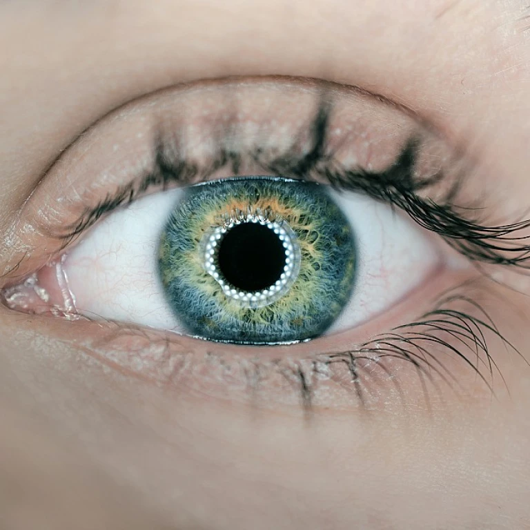 Comprendre le barème des commissaires aux comptes